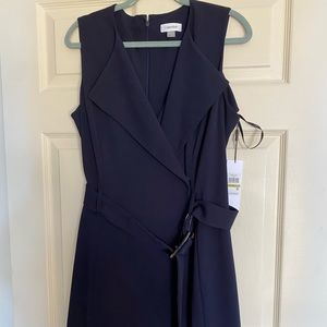 Calvin Kline Work Dress